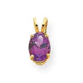 8x6mm Oval Amethyst pendant 14k Gold XP423AM