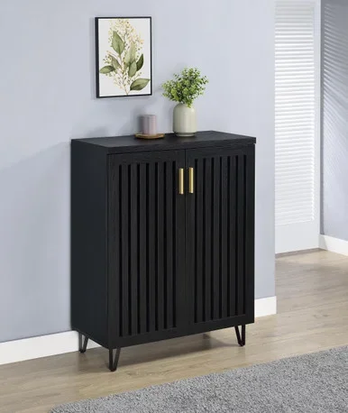 Brixton 2-door Entryway Shoe Storage Cabinets Black / CS-950422