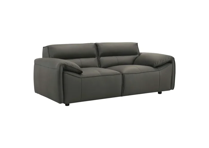 Buxton Top Grain Leather Upholstered Loveseat Graphite