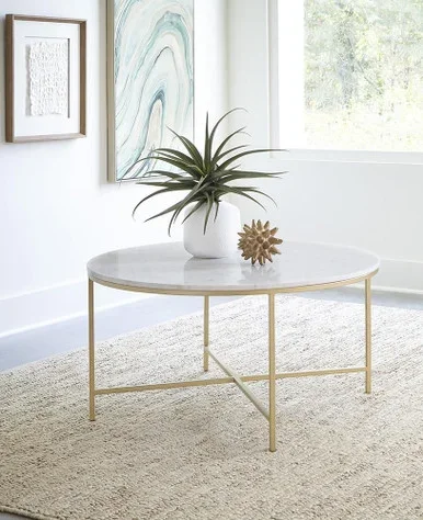 Ellison Round Marble Top Coffee Table White and Gold / CS-723208