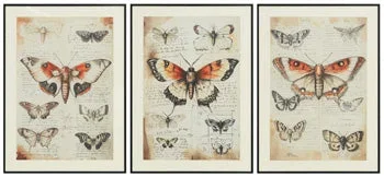 Jossletts Wall Art (Set of 3)
