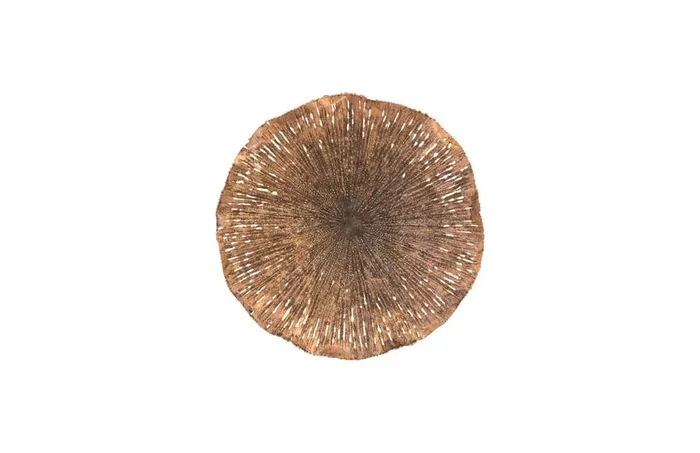 Phillips Collection – Lotus Wall Art, Copper/Black, MD – TH96157
