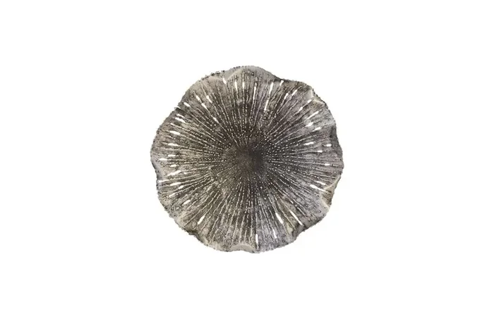 Phillips Collection – Lotus Wall Art, Silver/Black, SM – TH96159