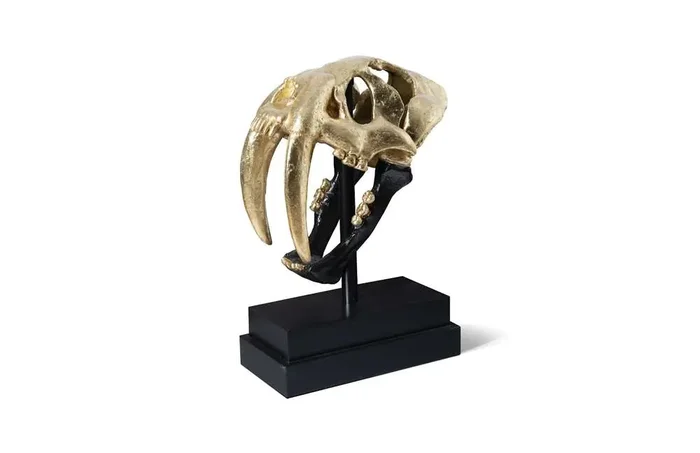 Phillips Collection – Saber Tooth Tiger Skull, Black, Gold Leaf – PH67580